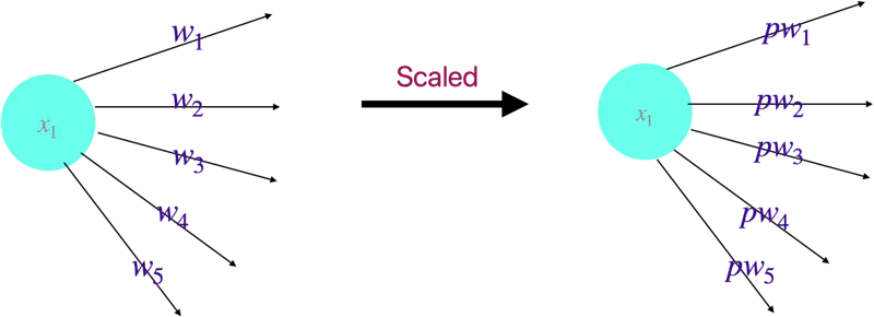 images/deep_learning/fundamentals/regularization/weight_scaling.png